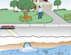 Cartoon showing pesticide application on a lawn and how the pesticide could go down a stormdrain and into a waterway