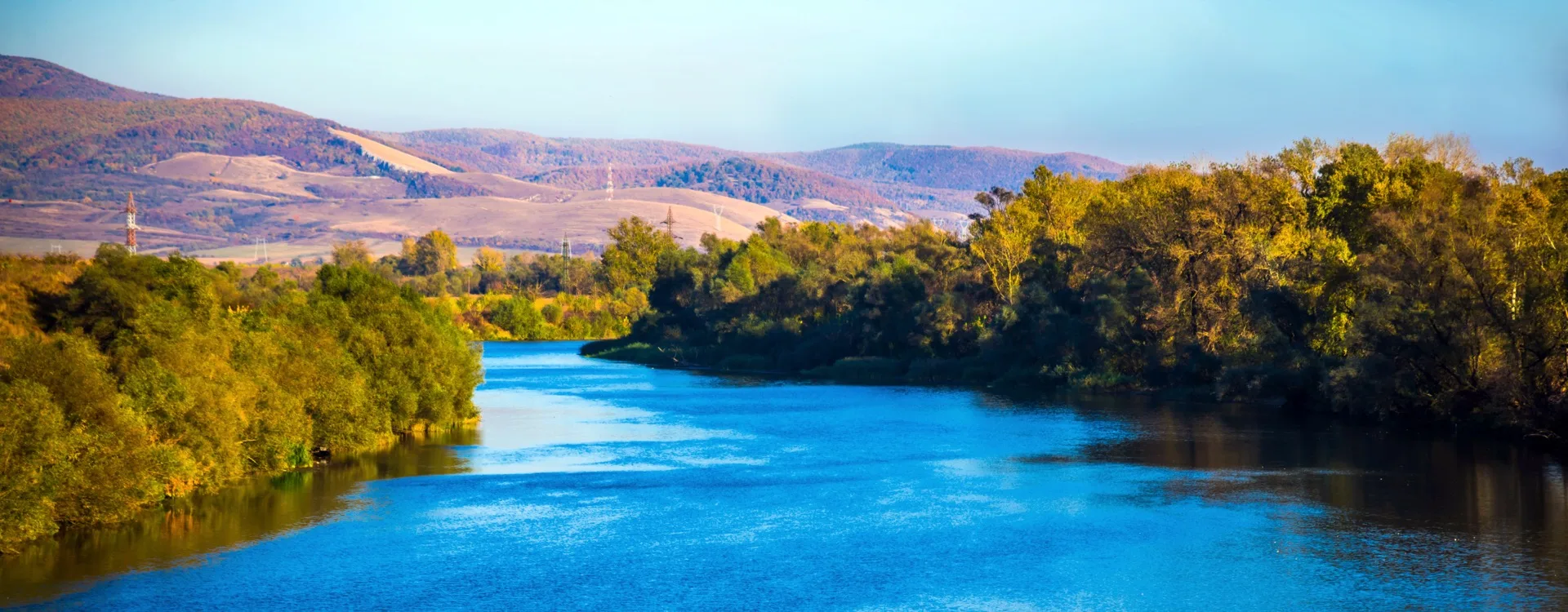 Panoramic view of the American River with Chinook salmon