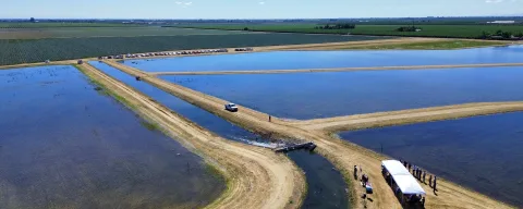 Four large ponds between raised dirt paths with an event tent at the Orestimba Recharge and Recovery project