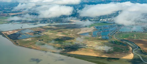 An aerial photo of the Sacramento River flowing into San Francisco Bay in the Delta estuary