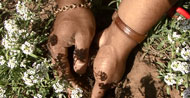 image of someone amending soil with their hands