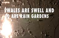 image of text Swales are Swell and So Are Rain Gardens
