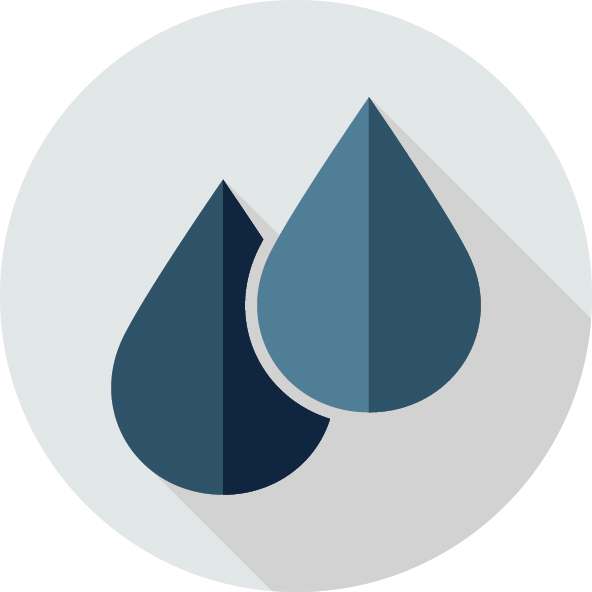 Consortium Recommendations