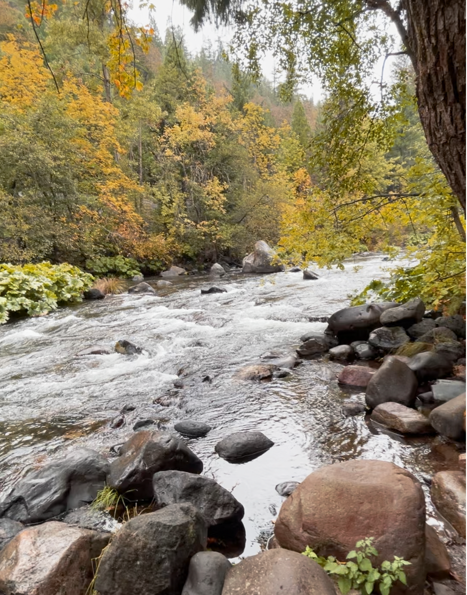 Diagram illustrating the pollution effects of single-walled storage tanks