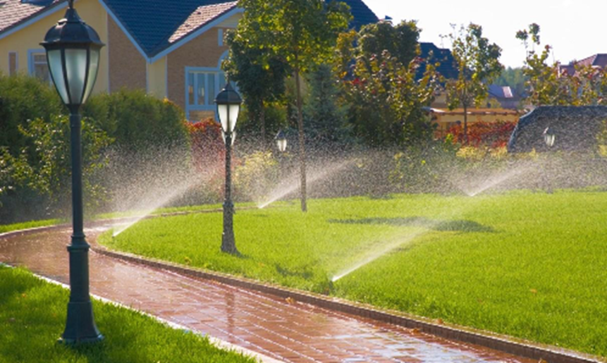 Watered Lawn