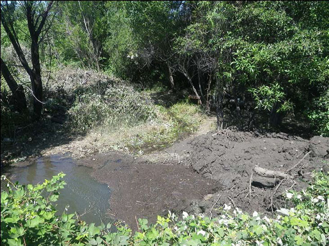 Unauthorized in-stream construction blocking flow and discharging sediment