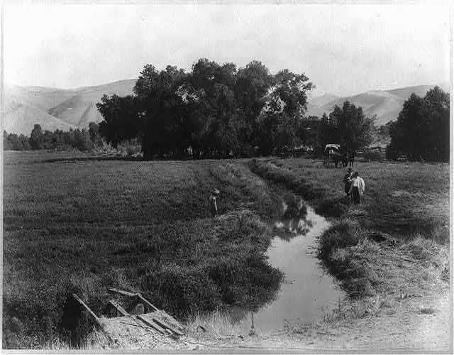Alfalfa field and irrigation ditch, Rio Bravo Ranch, Kern County, circa 1880