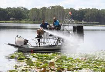 Spray Application of Aquatic Pesticide onto Weeds in waterway
