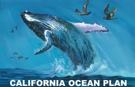 California Ocean Plan