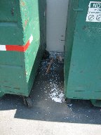Loose plastic pellets disposed in municipal trash