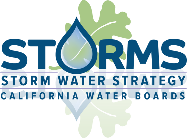 STORMS logo