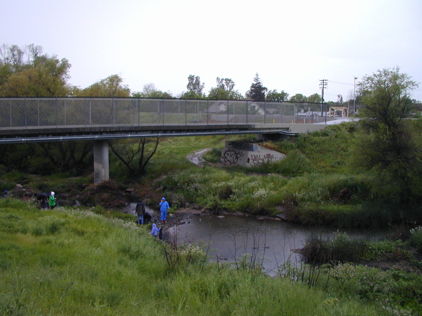 Stream Monitoring