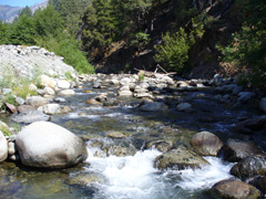 California Stream