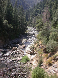 California Stream