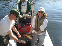 Monitoring Fish