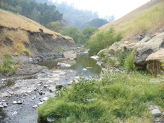 California Stream