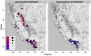 Map where microcystins were detected or tested