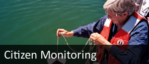 Citizen Monitoring Section
