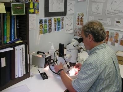 someone looking through microsope