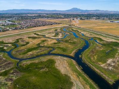 Dutch Slough