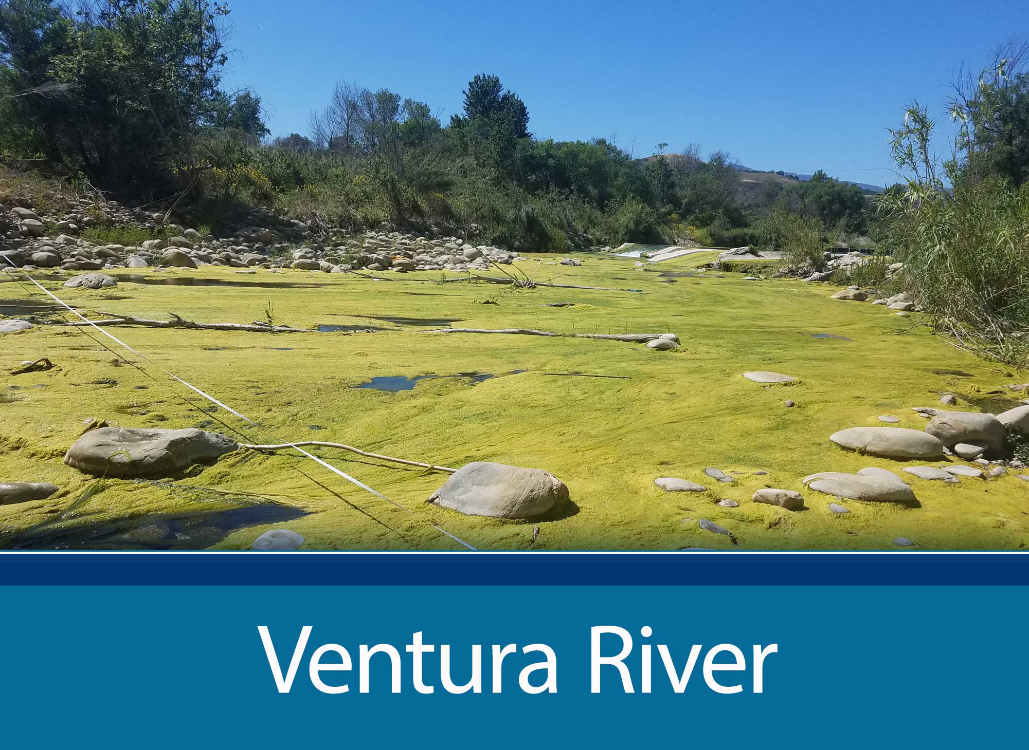 Ventura River page