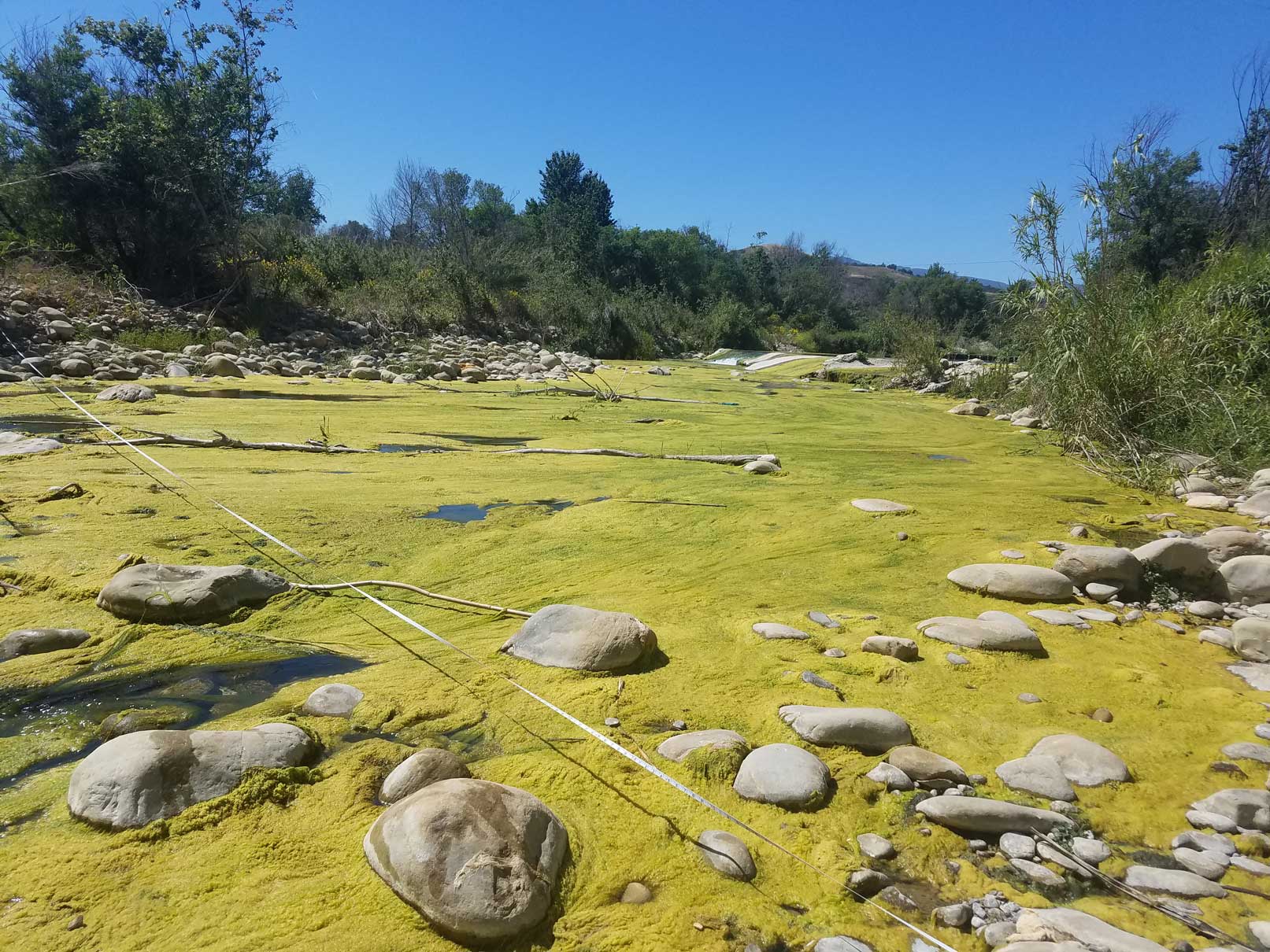 Ventura River